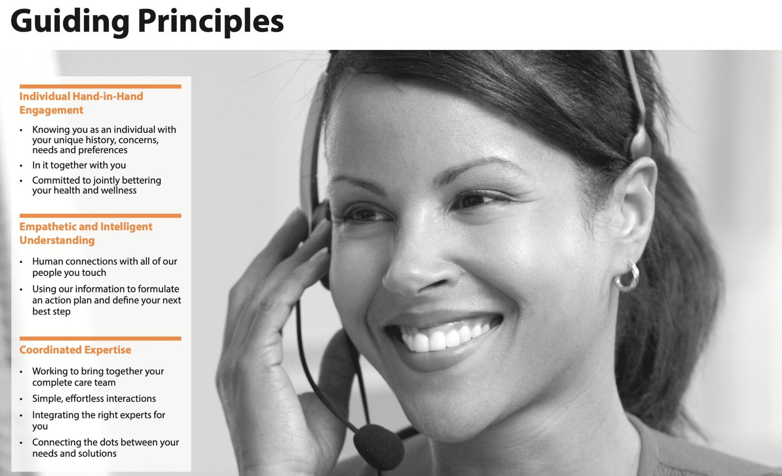 Guiding Principles page showing three principles: Individual Hand-in-Hand Engagement, Empathetic and Intelligent Understanding, and Coordinated Expertise — each with supporting behaviors.